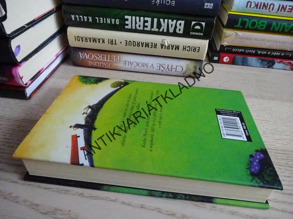 NOVÝ POLICISTA, KATE THOMPSONOVÁ, **an