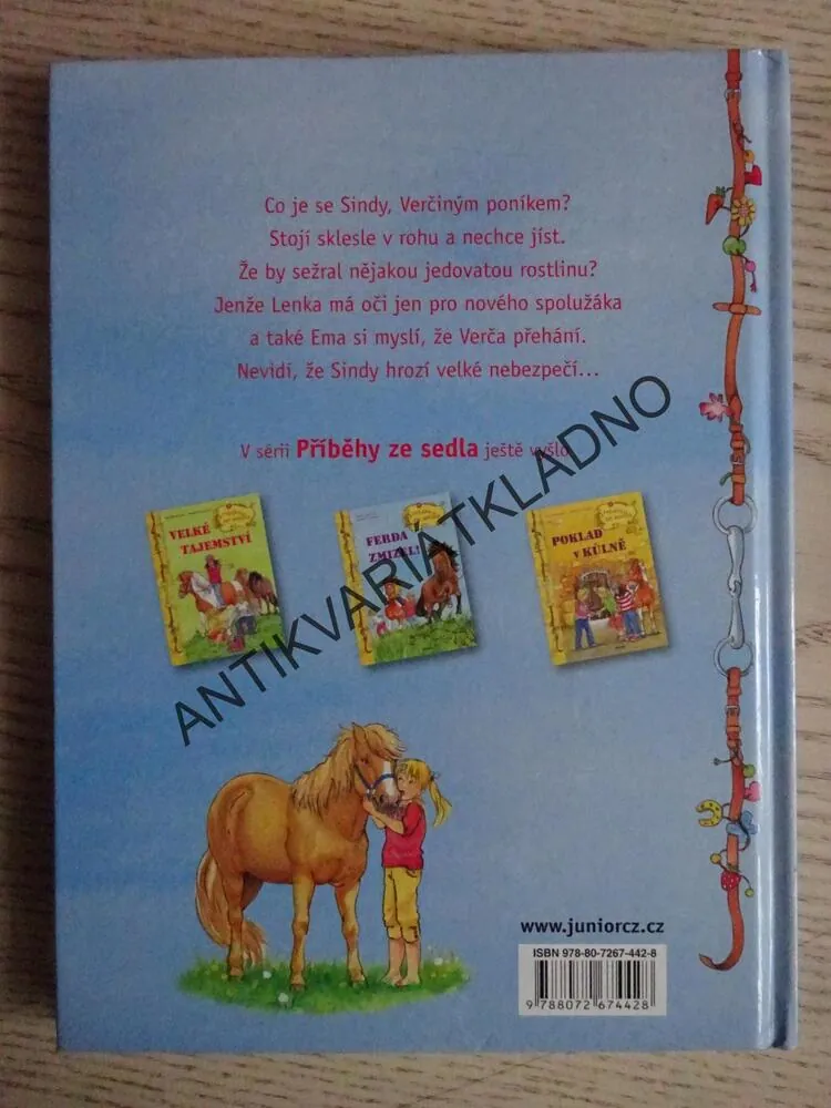 SINDY V NEBEZPEČÍ, RUTH GELLERSENOVÁ, MELANIE BROCKAMPOVÁ, **an