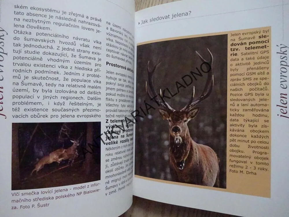JELENOVITÍ NA ŠUMAVĚ, PAVEL ŠUSTR, **an