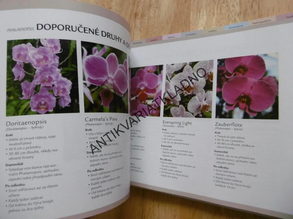 RYCHLÝ RÁDCE ORCHIDEJE, 99 RAD PRO RYCHLÉ ŘEŠENÍ PROBLÉMŮ