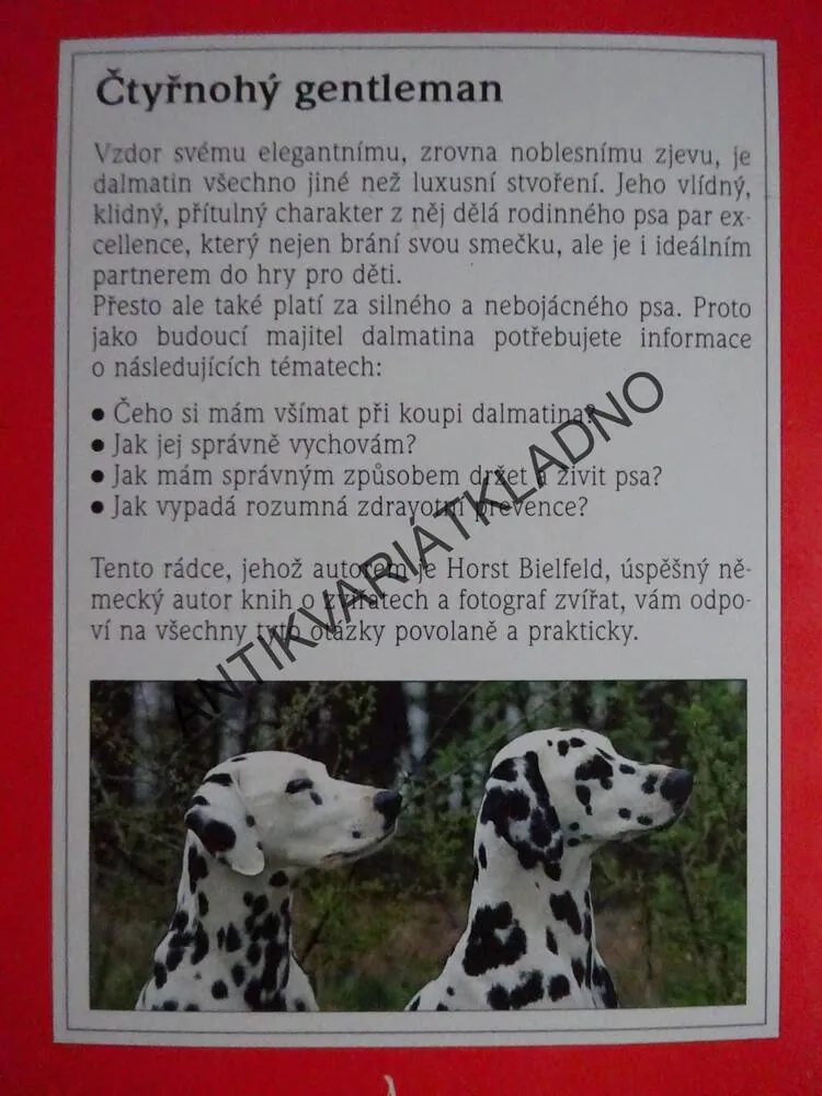 DALMATIN, HORTS BIELFELD, **an