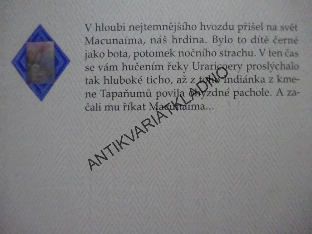 MACUNAIMÁ, MÁRIO DE ANDRADE, **an