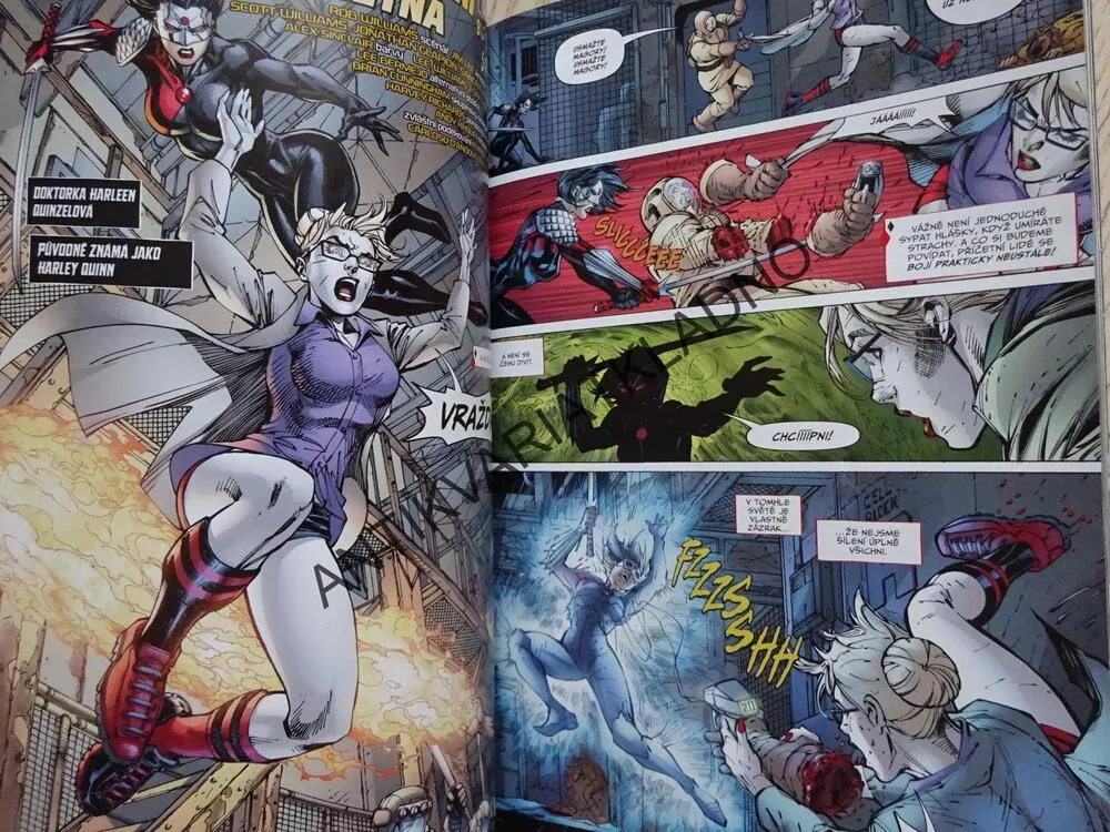 SEBEVRAŽEDNÝ ODDÍL, K ZBLÁZNĚNÍ PŘÍČETNÁ, KOMIKS DC COMICS, BB ART 2, **an