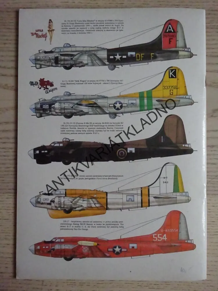 BOEING B-17 FLYING FORTRESS, MILITARIA LOTNICZE 1., POLSKY