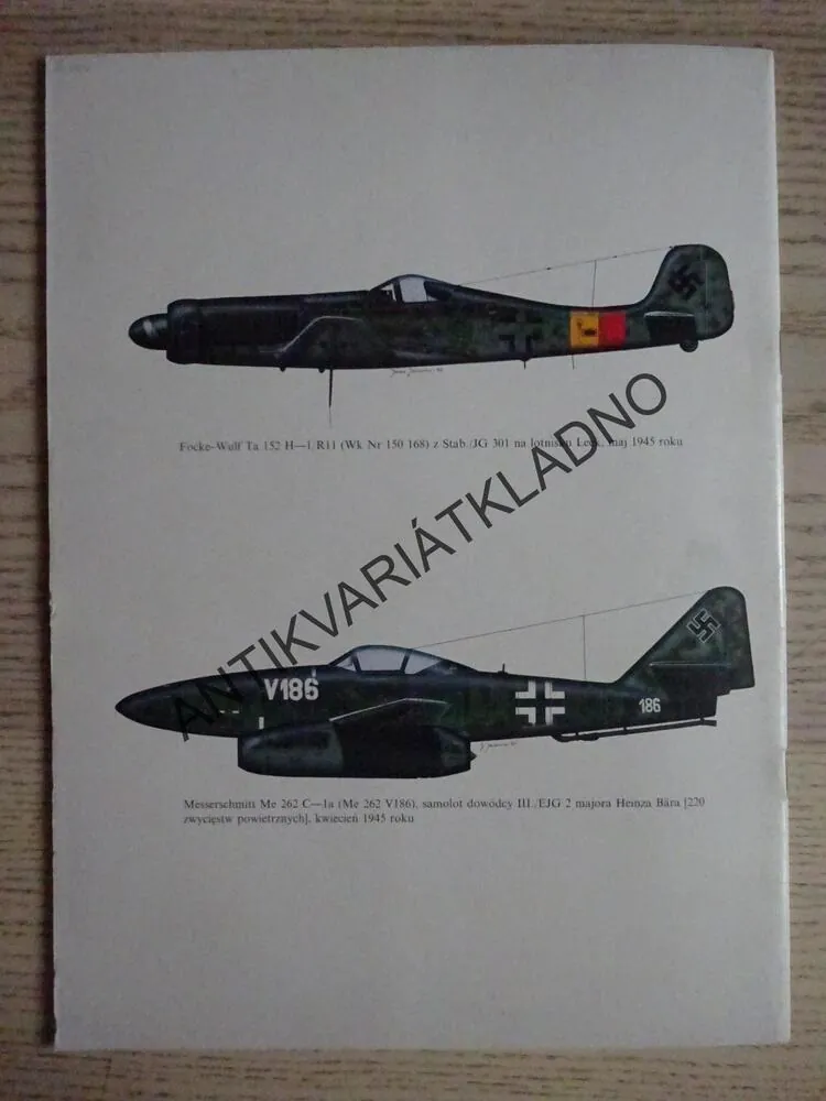 ASY LUFTWAFFE, POLSKY