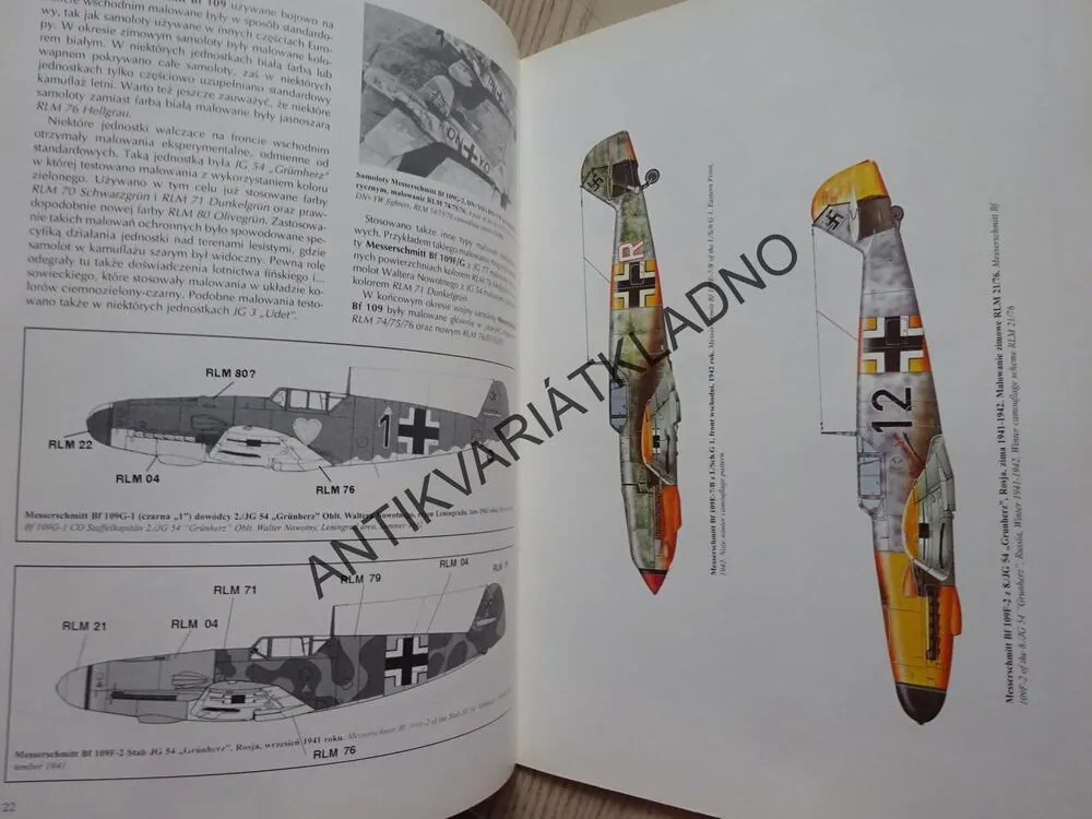 MESSERSCHMITT BF 109 COLOR, POLSKY