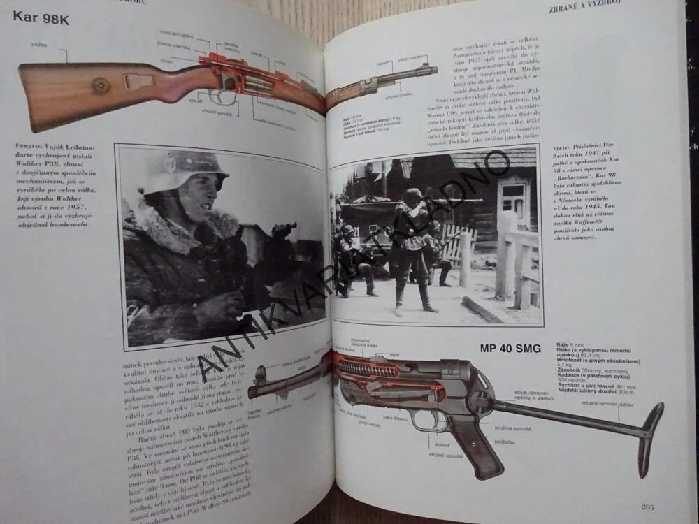 SS: HITLERŮV NÁSTROJ TERORU, GORDON WILLIAMSON, **an