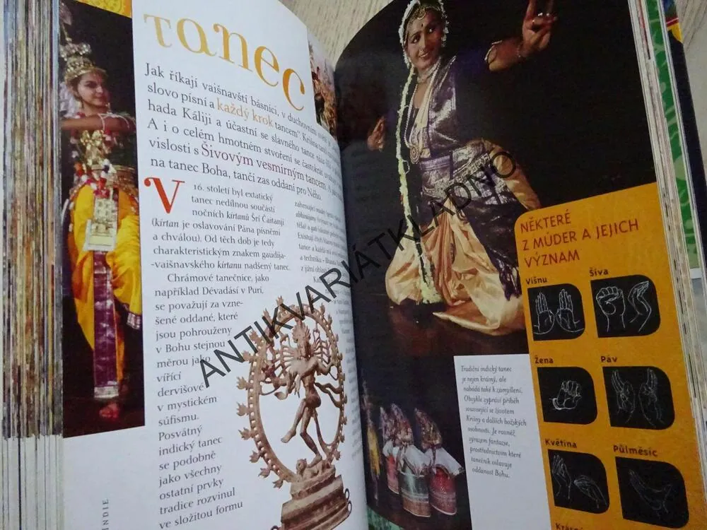 SKRYTÁ SLÁVA INDIE, STEVEN J. ROSEN, **an