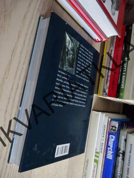 VLADIMÍR MENŠÍK, JOLANA MATĚJKOVÁ, **an