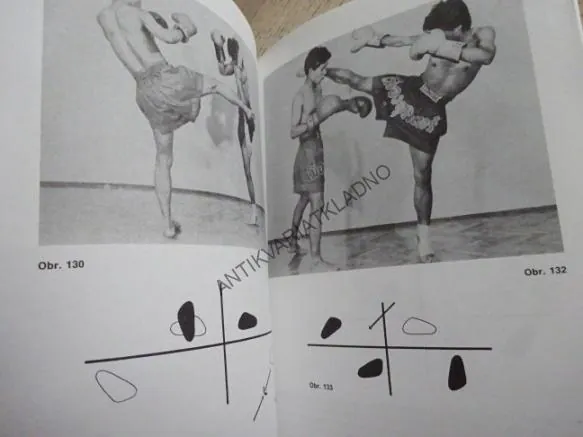 THAJSKÝ BOX, ZORAN REBAC, **an