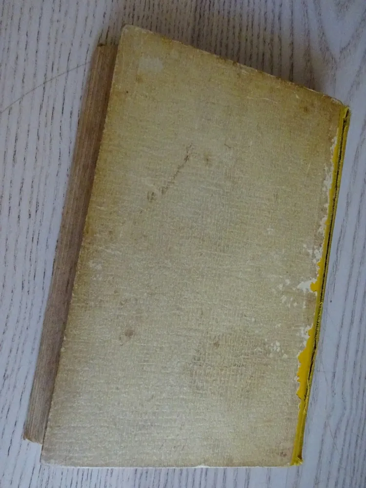 ZTRACENÁ KARAVANA, WALDO FLEMING, **an