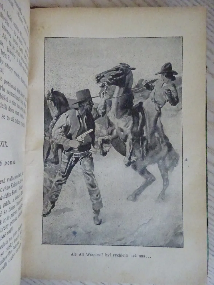 LORRAINE HUNTEROVÁ NA DIVOKÉM ZÁPADĚ, B. M. BOWER, **an