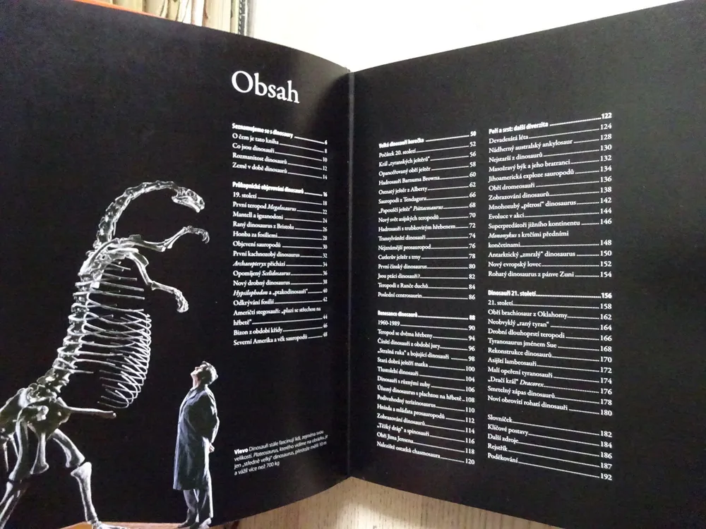 DINOSAUŘI, VELKÁ KNIHA OBJEVŮ, DARREN NAISH, **an