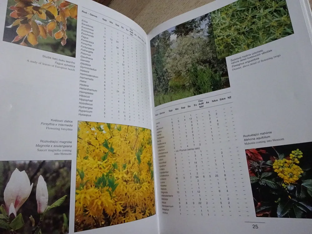 ARBORETUM LESNICKÉ FAKULTY ČZU V PRAZE, KOSTELEC NAD ČERNÝMI LESY, **an