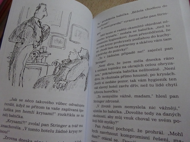 ČARODĚJNICE, ROALD DAHL, **an