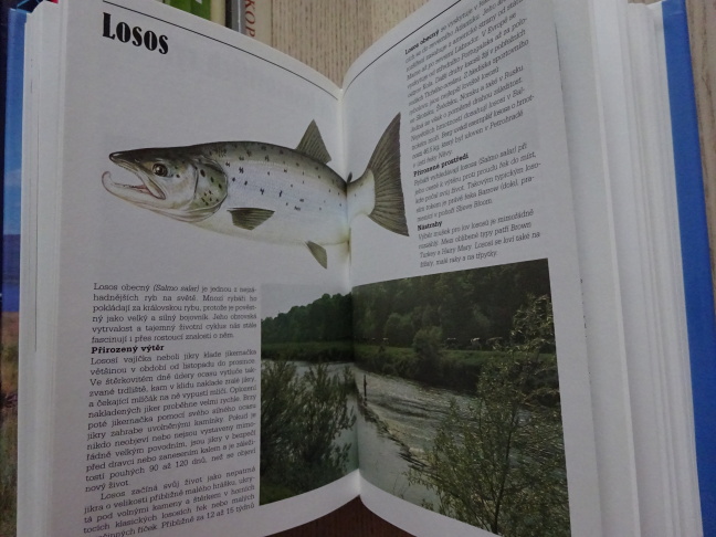 MALÁ ENCYKLOPEDIE SPORTOVNÍHO RYBÁŘSTVÍ, **an