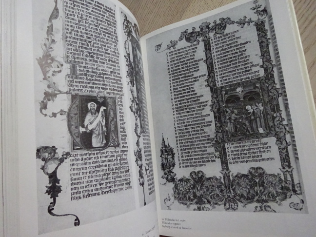 RUKOPISY VÁCLAVA IV., JOSEF KRÁSA, **an