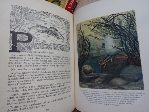 POTOK, JOS. HAIS TÝNECKÝ, O. ŠTÁFL, 1923, **an