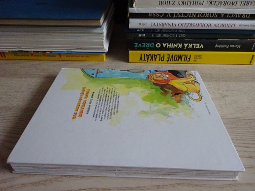 365 DOBRODRUŽSTVÍ MEDVÍDKA BRUMA, PŘÍBĚHY PŘED SPANÍM, **an