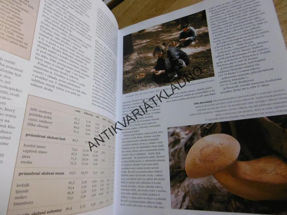 HOUBY, ČESKÁ ENCYKLOPEDIE,MYKOLOGIE , **an