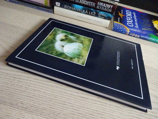 NEVINNÍ JAKO SKŘIVÁNCI, MIKULICA, PTÁČEK, KUČERA, **an
