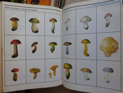 PIONÝRSKÁ ENCYKLOPEDIE 1-2, **an