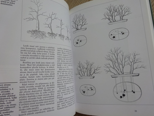 BONSAJE Z DOMÁCÍCH DŘEVIN, WOLFGANG KOHLHEPP, **an