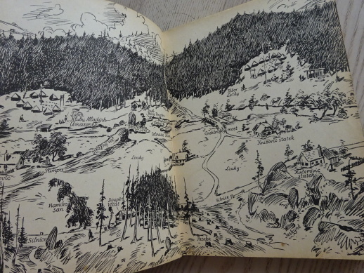 VLČATA ZE ZTRACENÉHO ÚDOLÍ, MILA HABROVÁ, **an