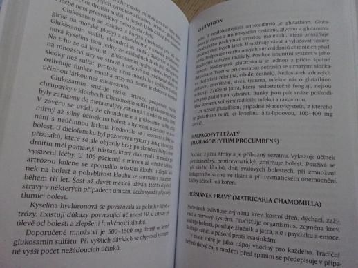 ZÁNĚT, SKRYTÝ ZABIJÁK, DAVID FREJ, **an
