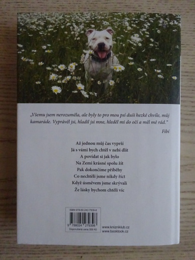SLEČNA NA ZÁMKU KOZEL, JOSEF FOUSEK, **an
