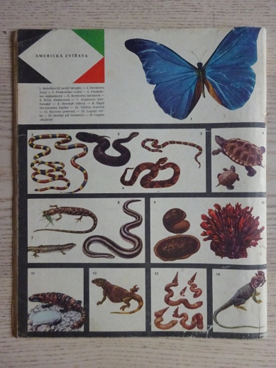 KARAVANA - STRÝČEK INDIÁN, A. V. FRIČ, **an