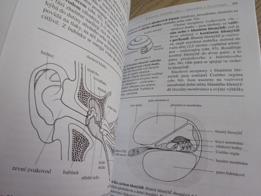 BIOLOGIE ČLOVĚKA, PRO GYMNÁZIA, 5. vydání