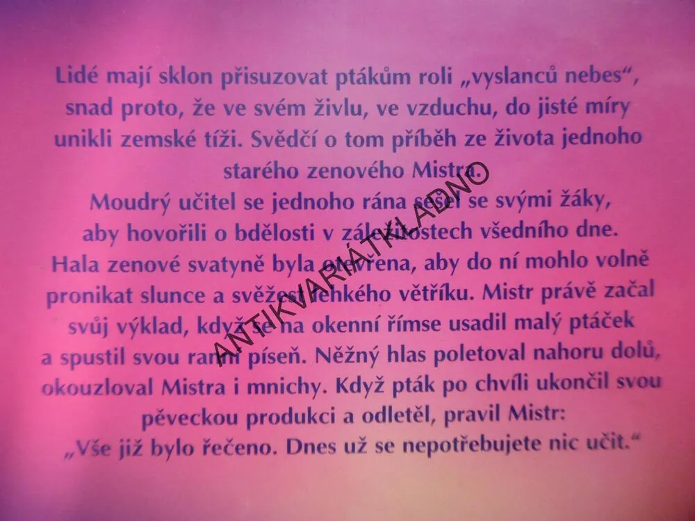 AURA V OBRAZECH, PETER MICHEL, 