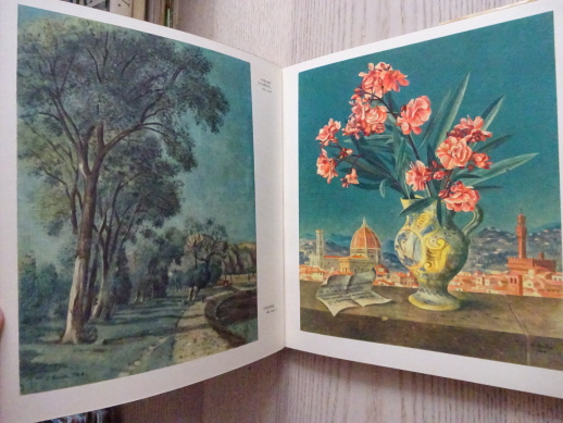 KOUZELNÉ ZRCADLO, VYPRÁVĚNÍ O CYRILU BOUDOVI, ADOLF BRANALD, **an