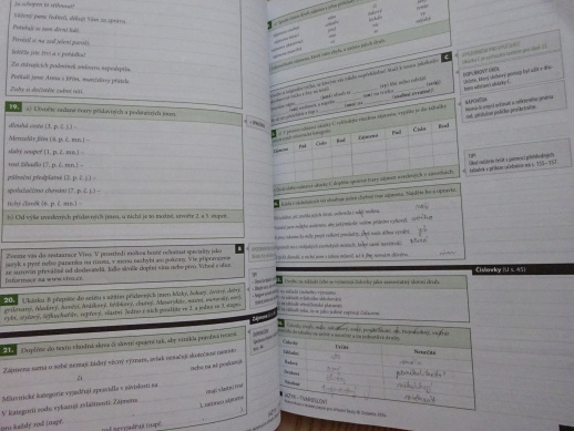 KOMUNIKACE V ČESKÉM JAZYCE PRO STŘEDNÍ ŠKOLY, PRACOVNÍ SEŠIT