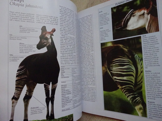SAVANY, LAROUSSE, **an