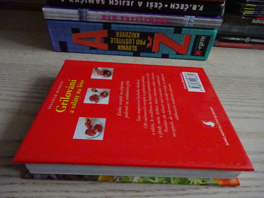 GRILOVÁNÍ A SALÁTY NA LÉTO, ŠPALÍČEK RECEPTŮ, **an