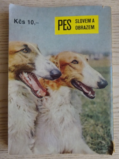PES SLOVEM I OBRAZEM, **an