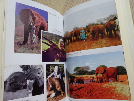 AFRICKÝ PŘÍBĚH LÁSKY, DAPHNE SHELDRICKOVÁ, **an