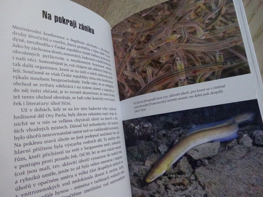 SUPI V HOTELU CONTINENTAL A DALŠÍ ZÁPISKY ŘEDITELE ZOO, MIROSLAV BOBEK, **an