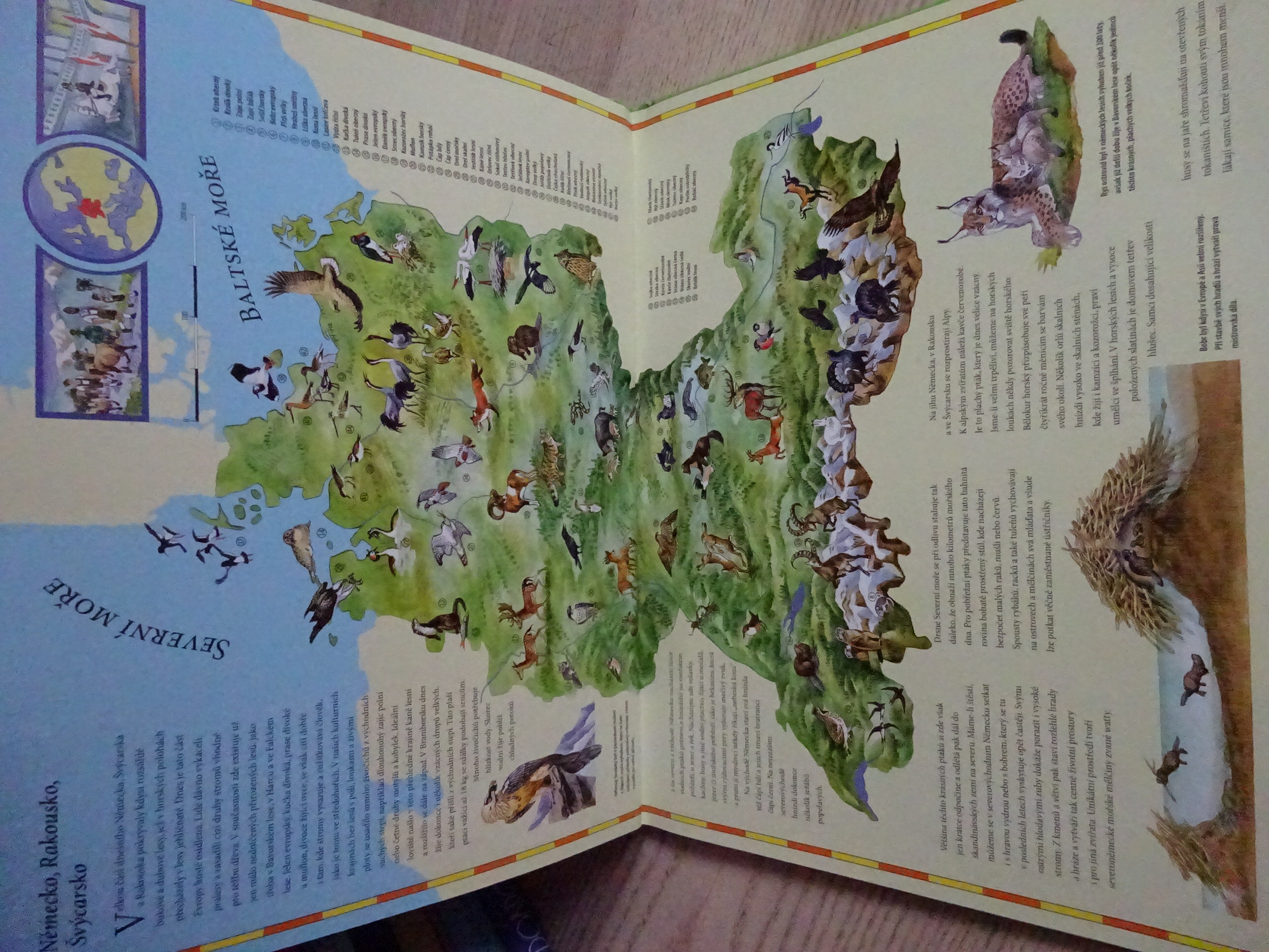 VELKÝ DĚTSKÝ ATLAS ZVÍŘAT, **an