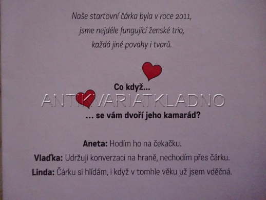 STARÁ TLUSTÁ BLBÁ ANEB STB ZASAHUJE, FINKOVÁ, CHRISTOVOVÁ, PIRICHOVÁ, **an