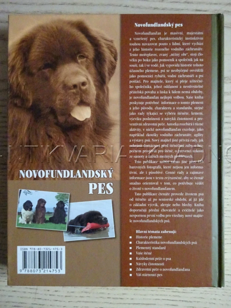 NOVOFUNDLANDSKÝ PES, ANGELA BARLOWEOVÁ, **an