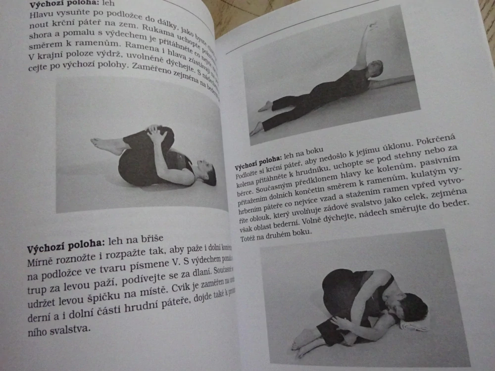 BOLESTI ZAD JAKO ŽIVOTNÍ REALITA, JEJICH PŘÍČINY, DIAGNOSTIKA, TERAPIE A PREVENCE, JAN HNÍZDIL, BLANKA BERÁNKOVÁ, **an