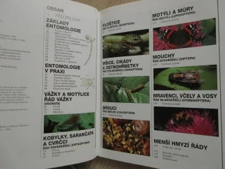 SVĚT HMYZU, RICK IMES,**an