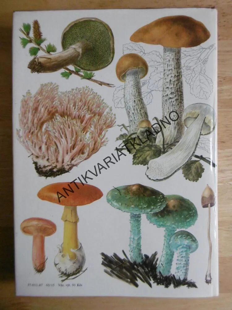 HOUBY, SVRČEK, VANČURA, **an
