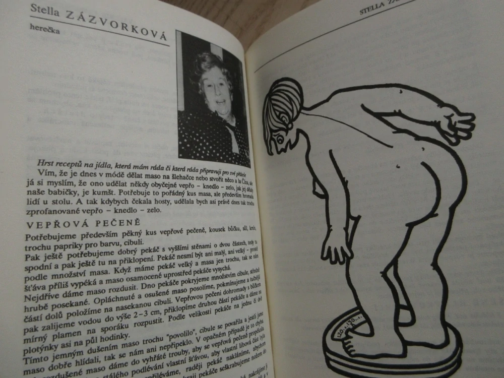 PŘIJĎTE K NÁM NA VEČEŘI!, JIŘINA STOKLASOVÁ, **an