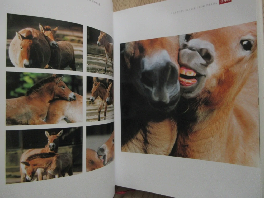 ZOO PRAHA, HERBERT SLAVÍK, **an