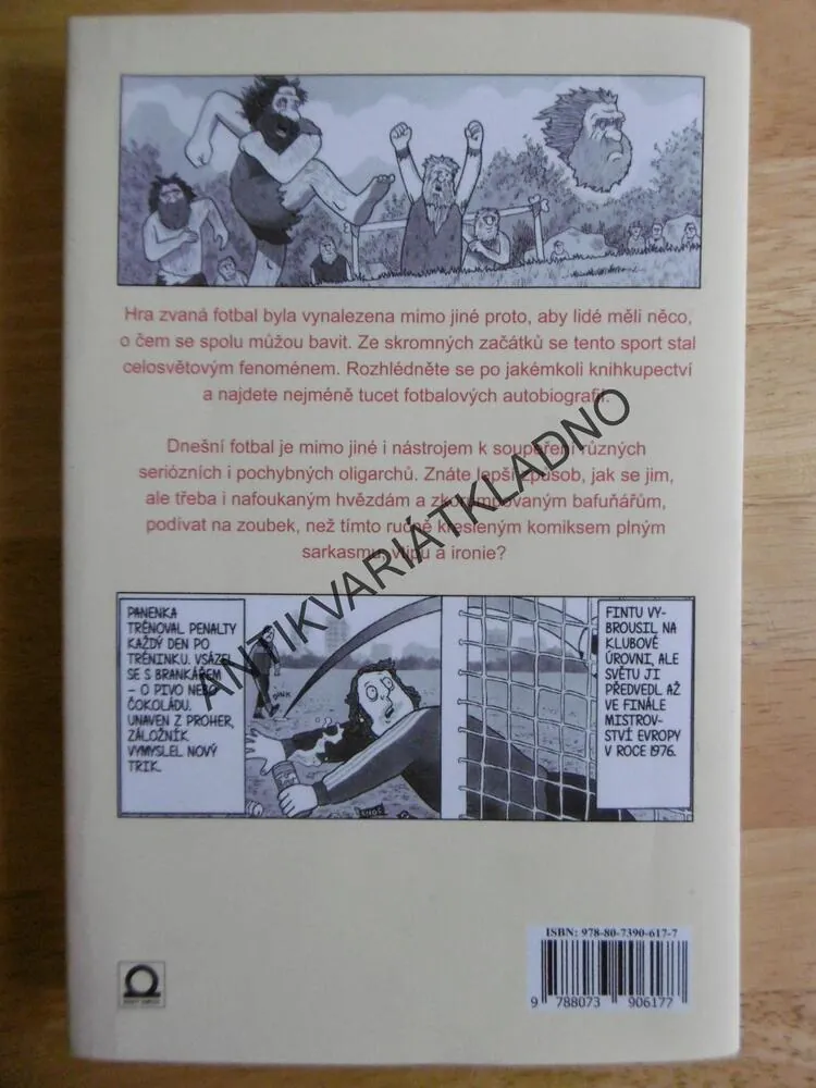 ILUSTROVANÁ HISTORIE FOTBALU, DAVID SQUIRES