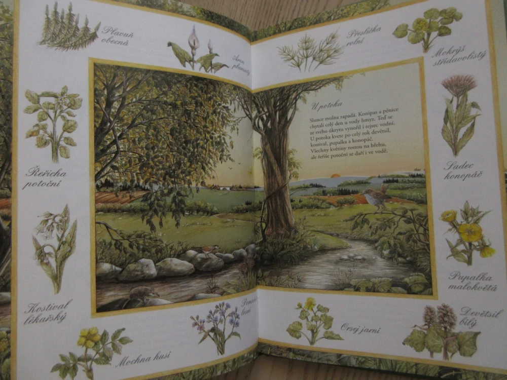 MŮJ PRVNÍ PRŮVODCE PŘÍRODOU, SUSANNE RIHA, **an